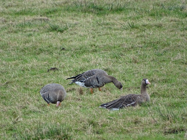 域的深入合 域的深入合